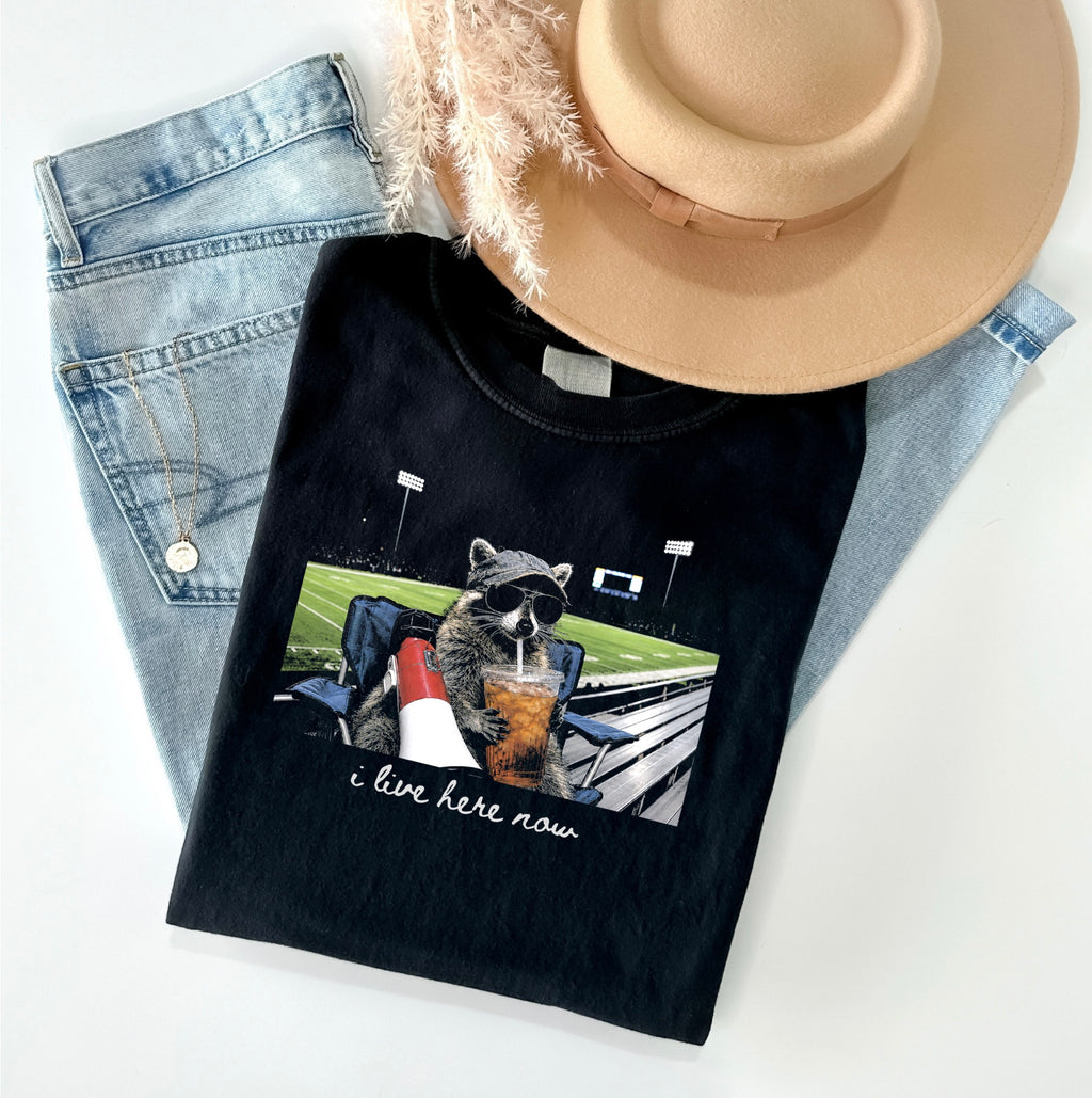 Football Graphic Tee, Funny Raccoon Football Sweatshirt