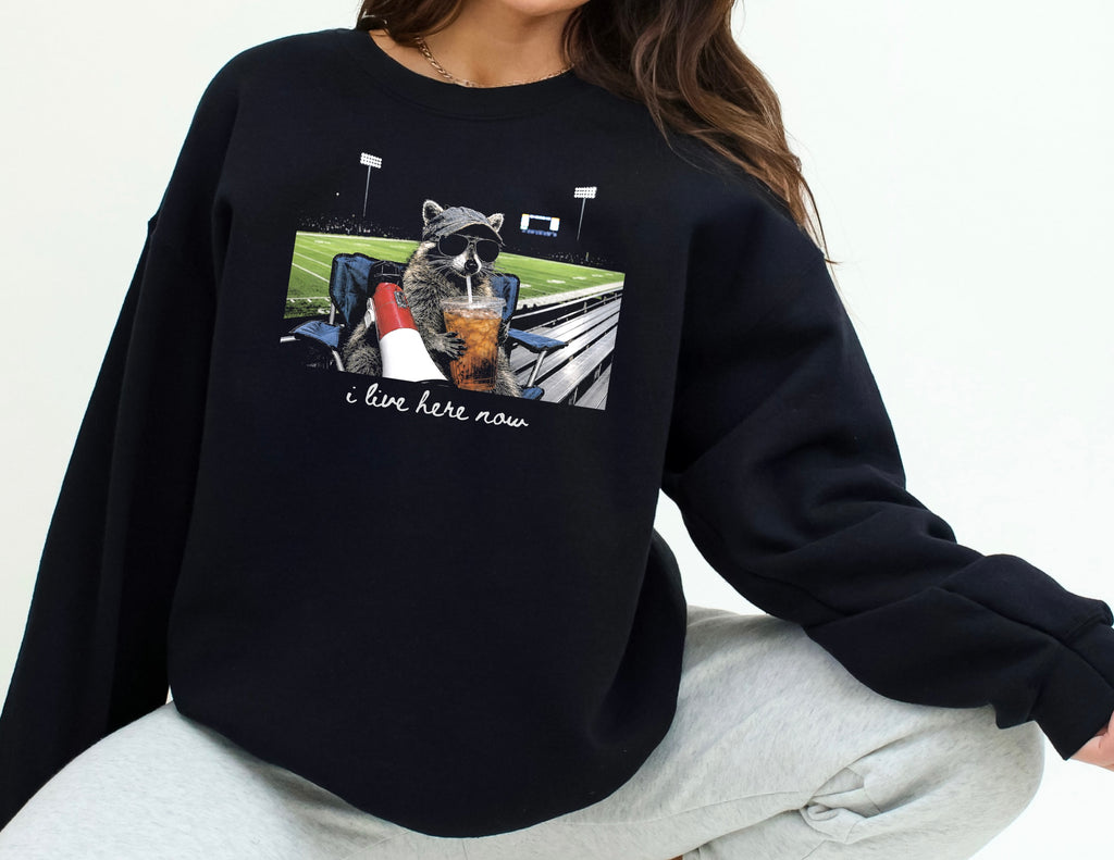 Football Graphic Tee, Funny Raccoon Football Sweatshirt