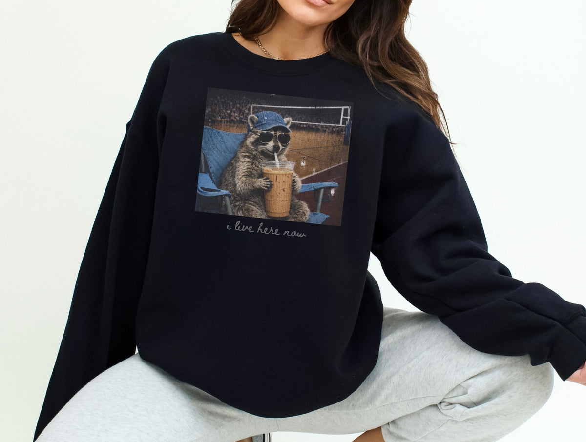 Volleyball Graphic Tee, Funny Raccoon Volleyball Sweatshirt