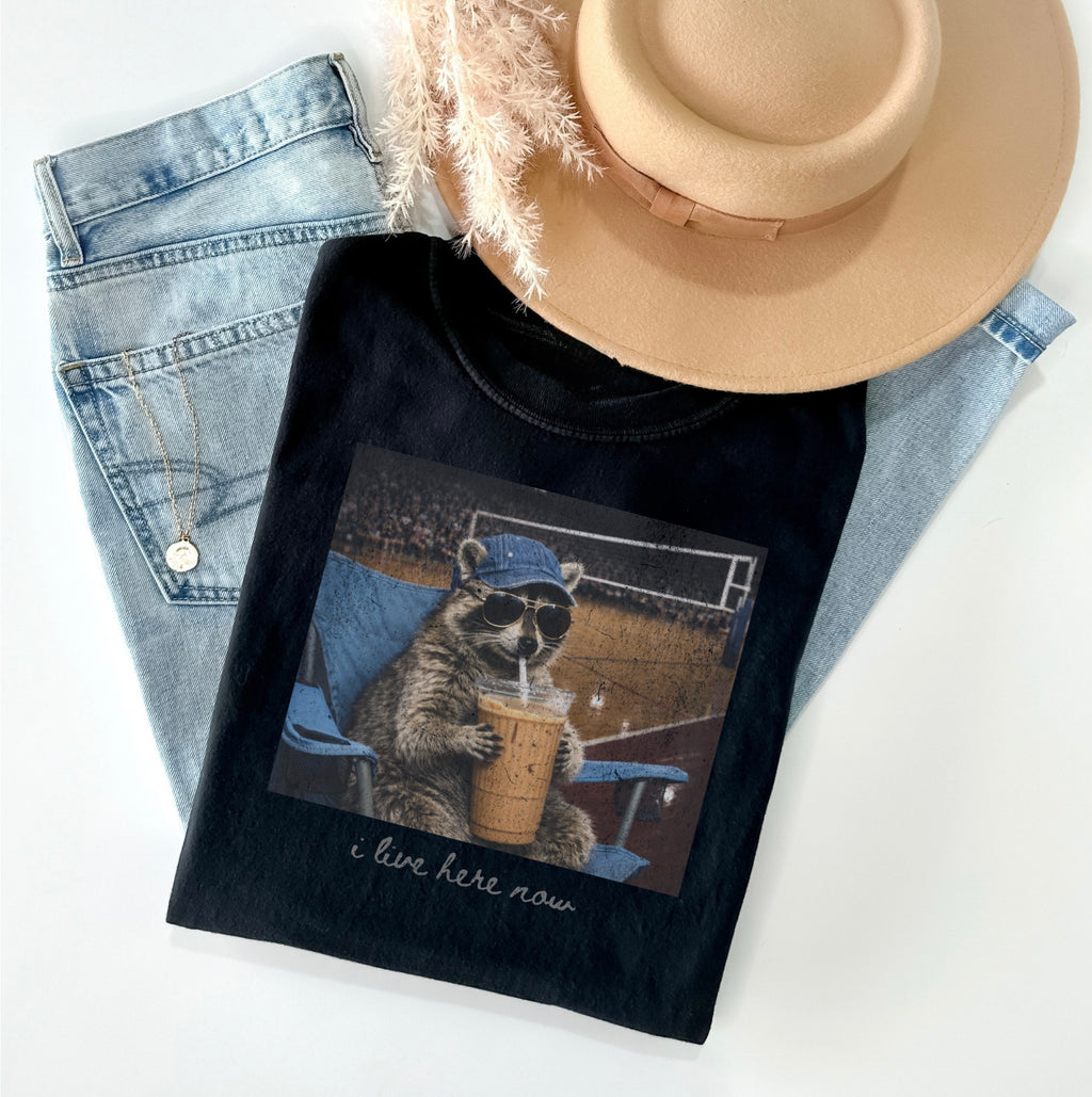 Volleyball Graphic Tee, Funny Raccoon Volleyball Sweatshirt